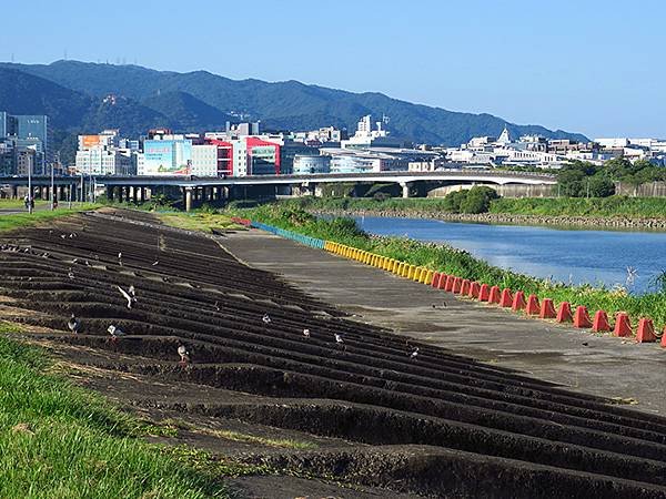 KR bikeway b6.JPG