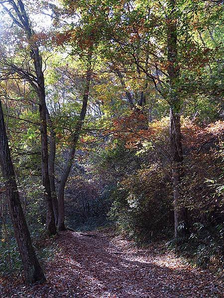 Hoshida Park a3.JPG