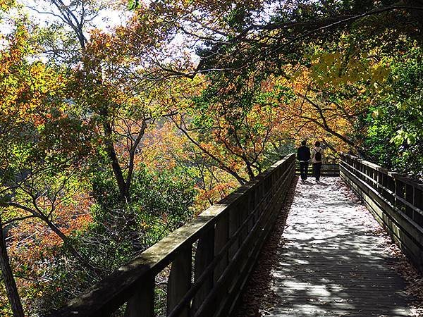 Hoshida Park b3.JPG