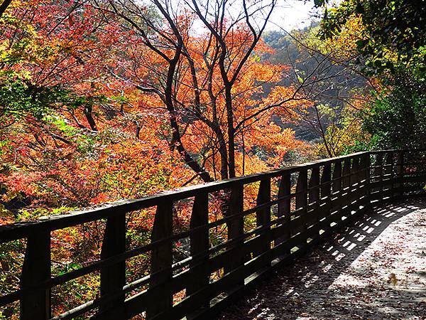 Hoshida Park b4.JPG