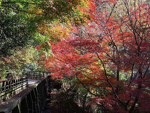 Hoshida Park b5.JPG