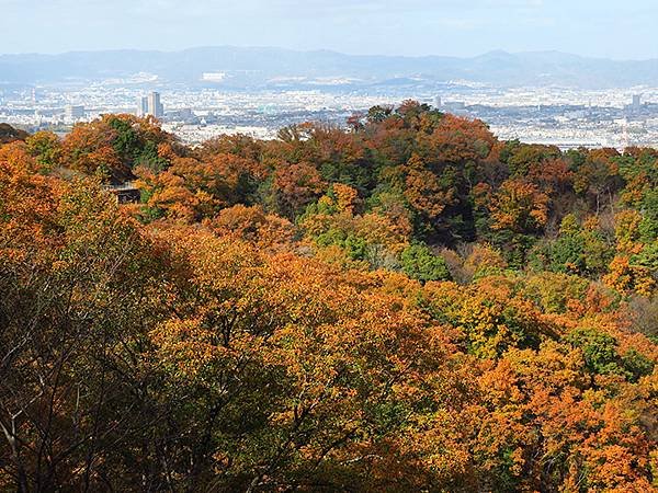 Hoshida Park d6.JPG