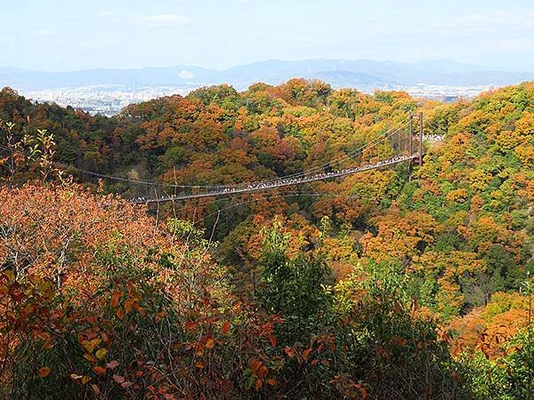 Hoshida Park f2.JPG