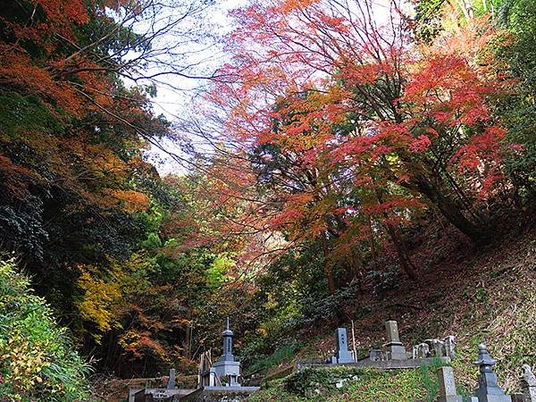 Iwami Ginzan h6.JPG