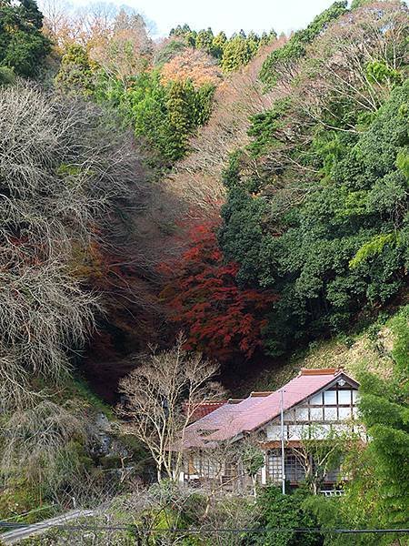 Iwami Ginzan h7.JPG