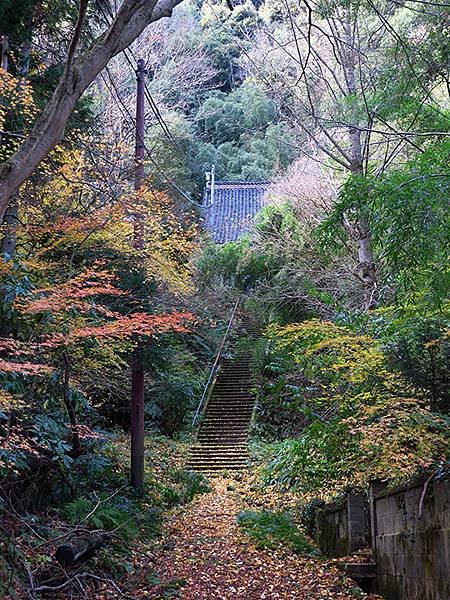 Iwami Ginzan j4.JPG