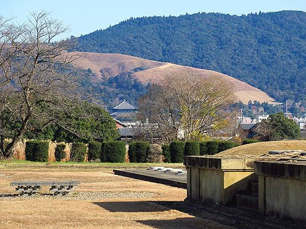 Nara biking h9.JPG