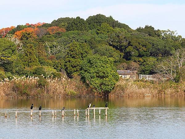 Nara biking i5.JPG