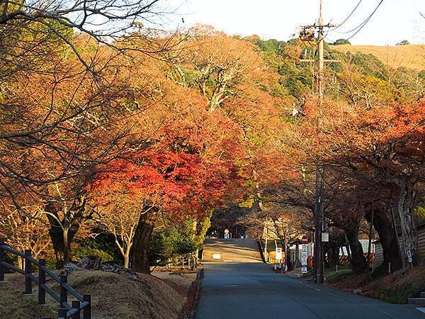 Nara biking j1.JPG