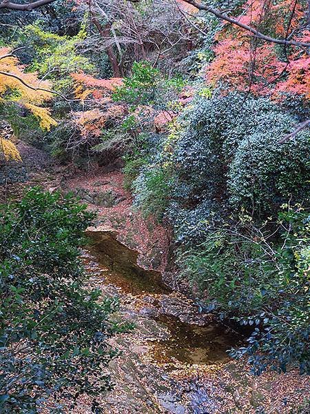 Nunobiki Fall a3.JPG