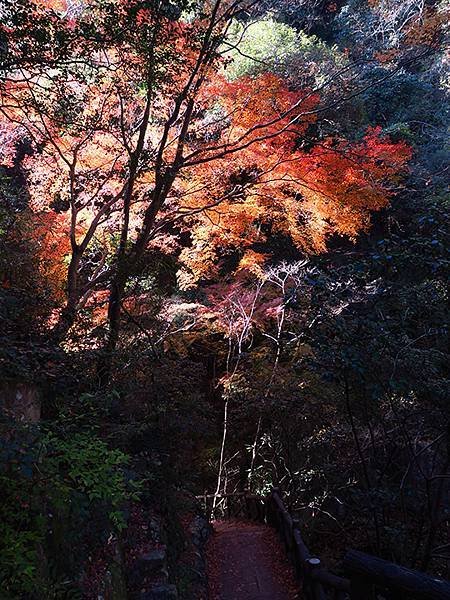 Nunobiki Fall c8.JPG