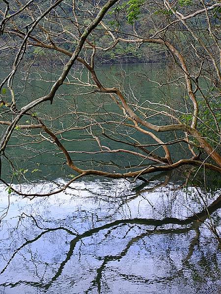 Meihua Lake a8.JPG