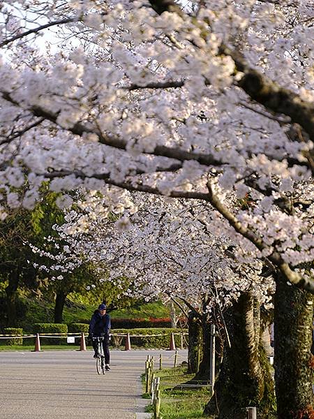 Himeji cb e6.JPG