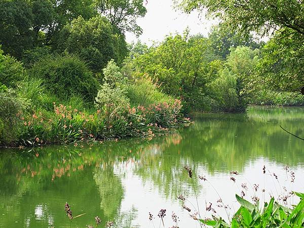 中國解封遊‧杭州(一)‧西溪溼地(Xixi Wetland)