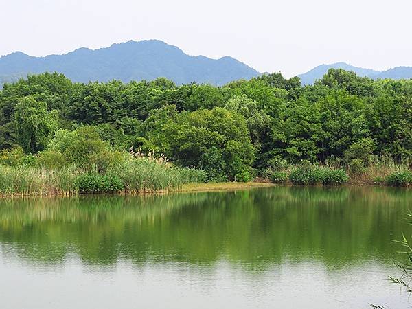 中國解封遊‧杭州(一)‧西溪溼地(Xixi Wetland)