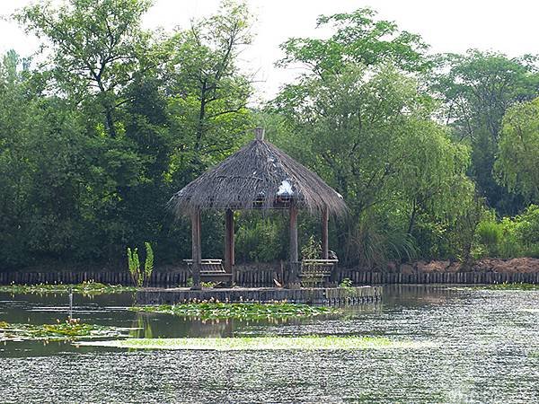 中國解封遊‧杭州(一)‧西溪溼地(Xixi Wetland)