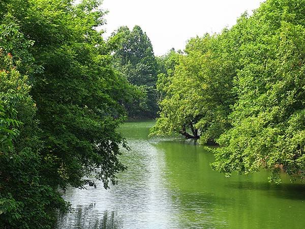 中國解封遊‧杭州(一)‧西溪溼地(Xixi Wetland)