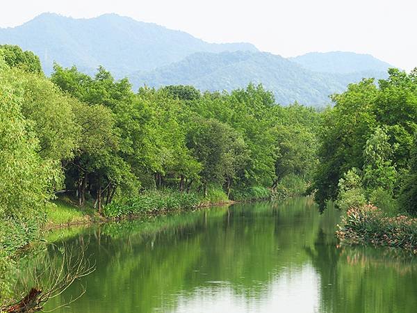 中國解封遊‧杭州(一)‧西溪溼地(Xixi Wetland)