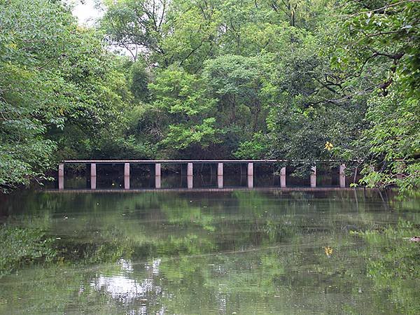 中國解封遊‧杭州(一)‧西溪溼地(Xixi Wetland)