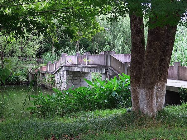 中國解封遊‧杭州(一)‧西溪溼地(Xixi Wetland)