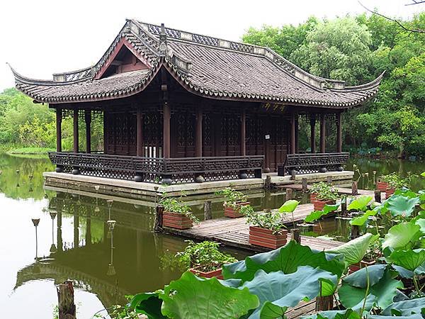 中國解封遊‧杭州(一)‧西溪溼地(Xixi Wetland)