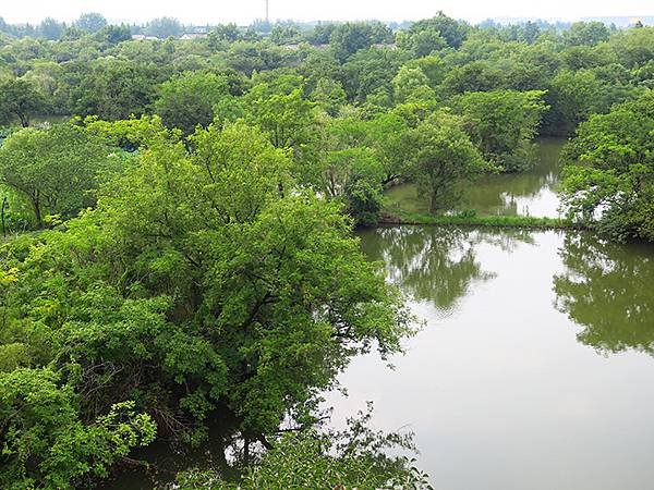 中國解封遊‧杭州(一)‧西溪溼地(Xixi Wetland)