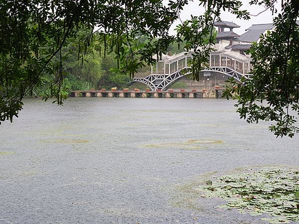 中國解封遊‧杭州(一)‧西溪溼地(Xixi Wetland)