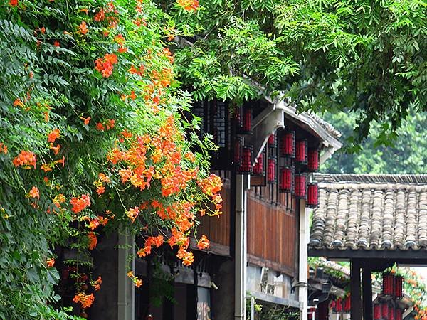 中國解封遊‧杭州(三)‧拱宸橋和工藝博物館(Hangzhou