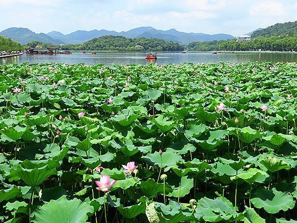 中國解封遊‧杭州(八)‧西湖(West Lake)