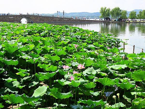 中國解封遊‧杭州(八)‧西湖(West Lake)