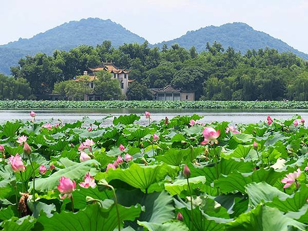 中國解封遊‧杭州(八)‧西湖(West Lake)