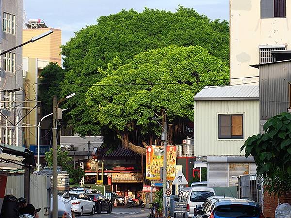 台灣‧台南(六十四)‧府城漫步(二十三)‧街巷、吃吃喝喝(T