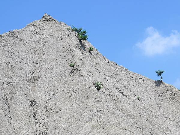 台灣‧高雄(三十四)‧田寮月世界(Tianliao Moon