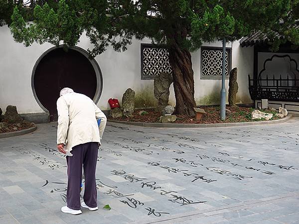 中國解封遊‧上海閒逛(十一)‧桂林公園、大洋千樹等(Guil