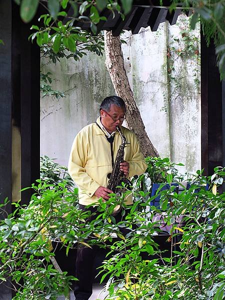 中國解封遊‧上海閒逛(十一)‧桂林公園、大洋千樹等(Guil