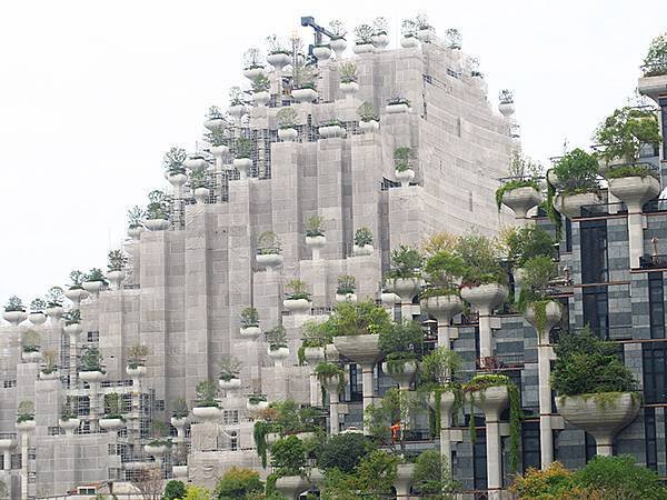 中國解封遊‧上海閒逛(十一)‧桂林公園、大洋千樹等(Guil