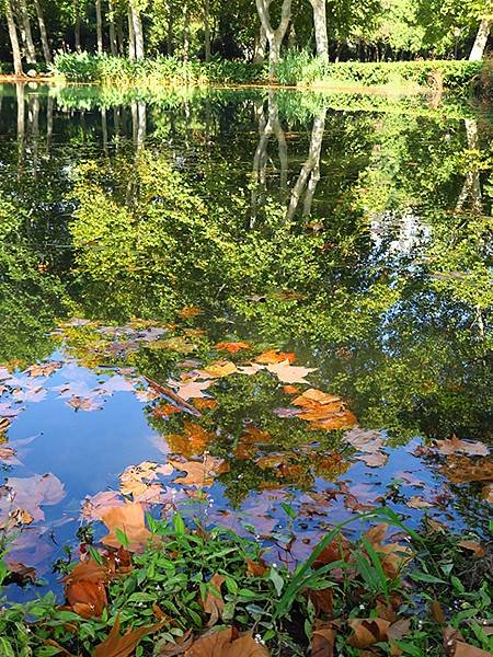 中國‧湖北‧武漢(九)‧漢口的公園(Parks in Han