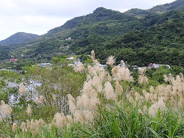 台灣‧台東(十一)‧知本國家森林遊樂區(Jhihben Na