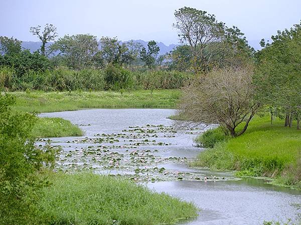 台灣‧花蓮(四)‧玉里(Yuli)