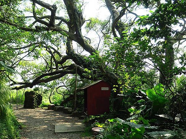 台灣‧新北‧鶯歌、龜山健行(Yingge Hiking)