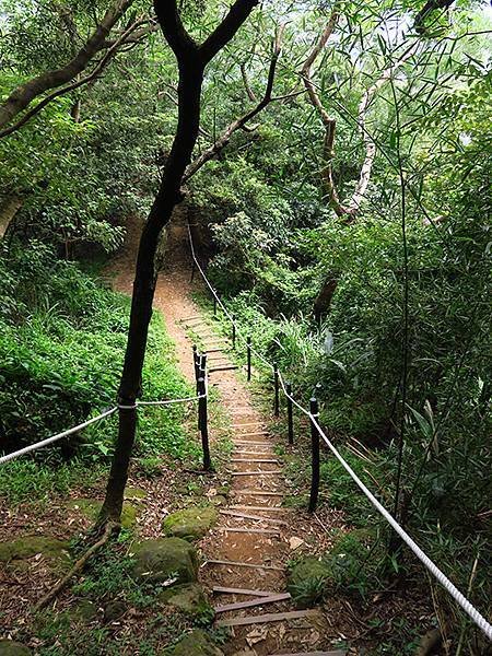 台灣‧新北‧鶯歌、龜山健行(Yingge Hiking)