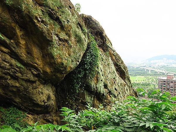 台灣‧新北‧鶯歌、龜山健行(Yingge Hiking)