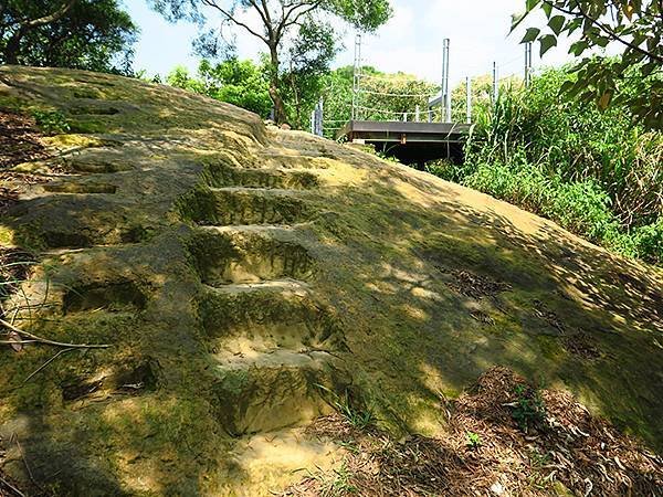 台灣‧新北‧鶯歌、龜山健行(Yingge Hiking)