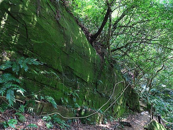 台灣‧新北‧鶯歌、龜山健行(Yingge Hiking)