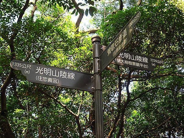 台灣‧新北‧鶯歌、龜山健行(Yingge Hiking)