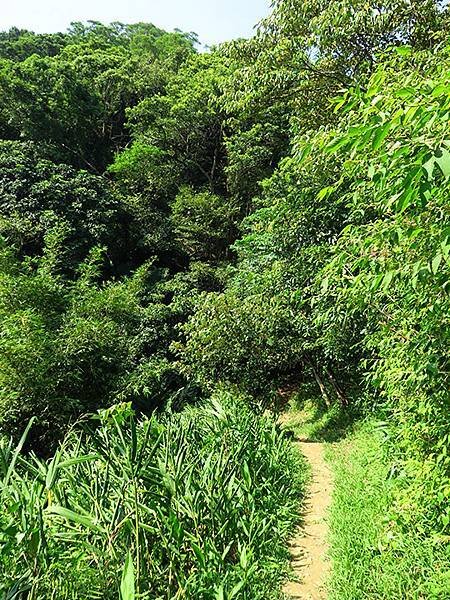 台灣‧新北‧鶯歌、龜山健行(Yingge Hiking)