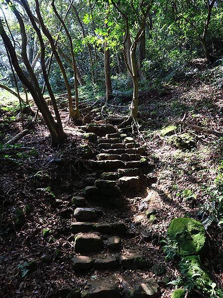 台灣‧新北‧鶯歌、龜山健行(Yingge Hiking)