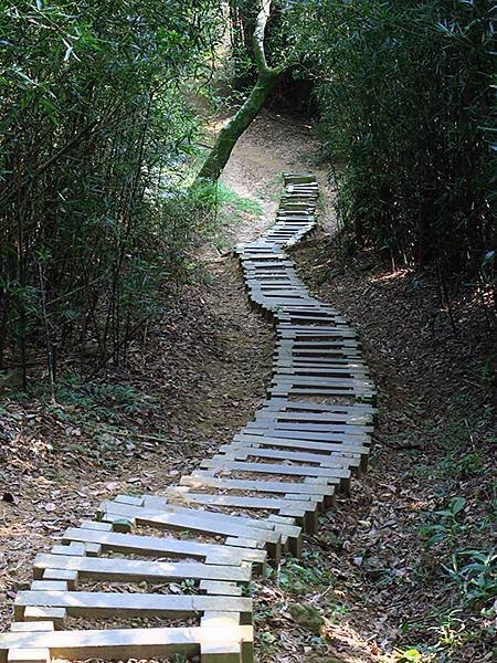 台灣‧新北‧鶯歌、龜山健行(Yingge Hiking)