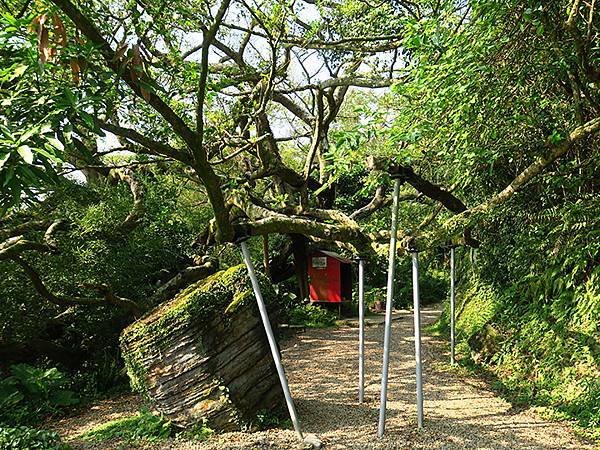 台灣‧新北‧鶯歌、龜山健行(Yingge Hiking)