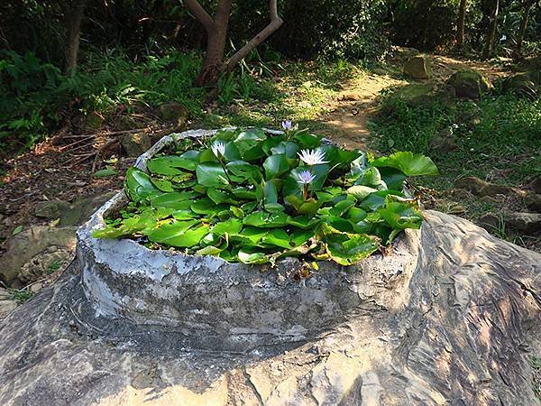 台灣‧新北‧鶯歌、龜山健行(Yingge Hiking)